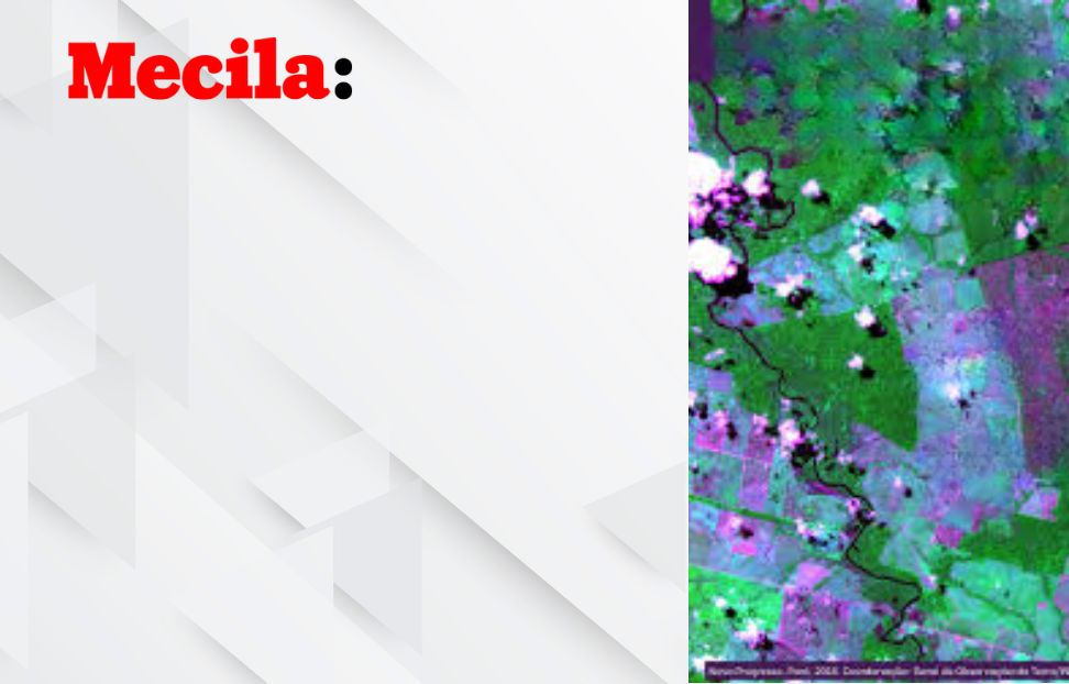 Mecila Annual Meeting & Young Researchers Forum 2025